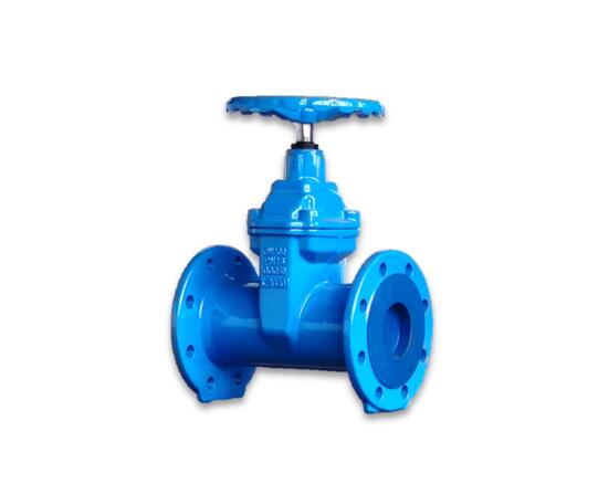 F5gatevalve..jpg