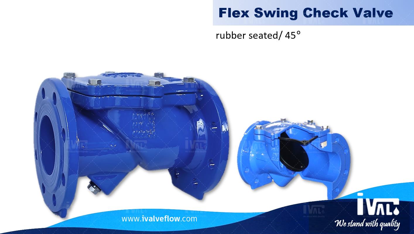 FlexCheck.jpg